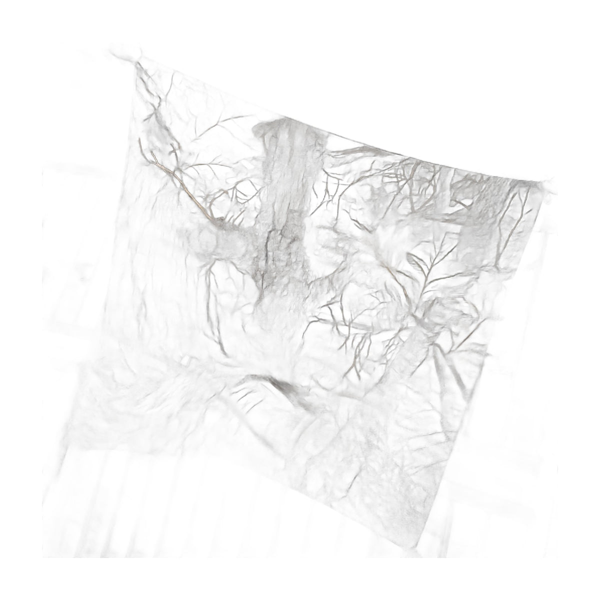 Jungle Camo Bandana